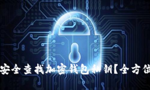 如何安全查找加密钱包私钥？全方位指南