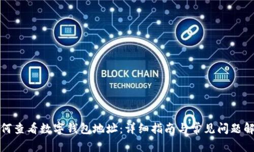 如何查看数字钱包地址：详细指南与常见问题解答