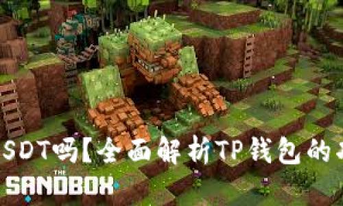 TP钱包支持USDT吗？全面解析TP钱包的功能与安全性