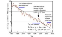 数字钱包设施：安全、便捷的未来支付方式