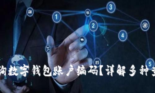 如何查询数字钱包账户编码？详解多种查询方式