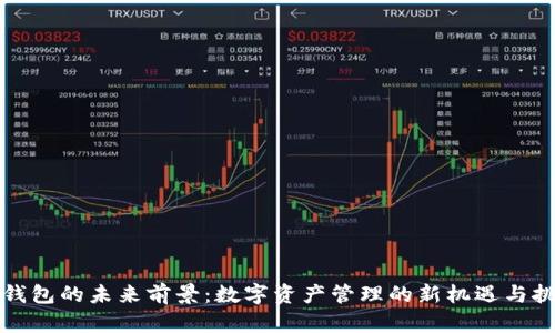 TP钱包的未来前景：数字资产管理的新机遇与挑战