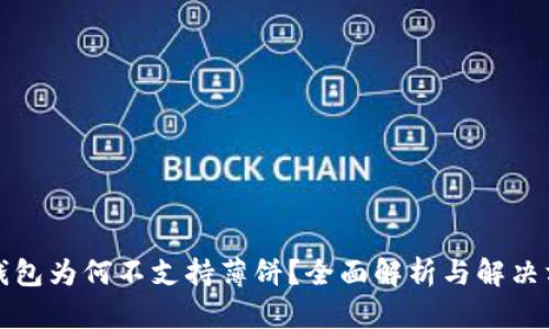 TP钱包为何不支持薄饼？全面解析与解决方案