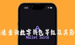 如何快速查询数字钱包等级及其影响因素