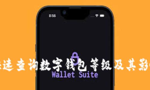 如何快速查询数字钱包等级及其影响因素
