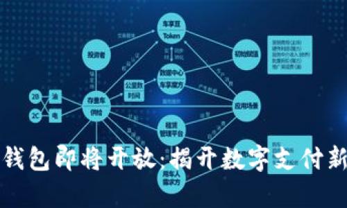 数字钱包即将开放：揭开数字支付新篇章