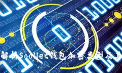 全方位解析Soollet钱包加密类型及其安全性