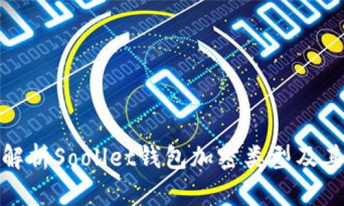 全方位解析Soollet钱包加密类型及其安全性