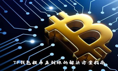 TP钱包提币未到账的解决方案指南