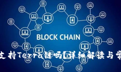 TP钱包支持Terra链吗？详细解读与常见问题