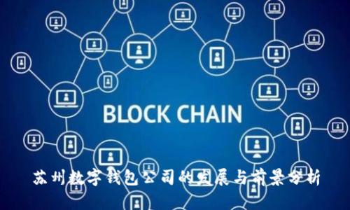 苏州数字钱包公司的发展与前景分析