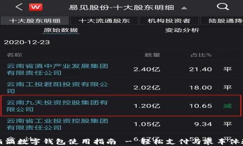 
滴滴数字钱包使用指南 - 轻松支付与乘车体验
