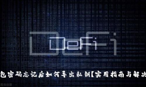 TP钱包密码忘记后如何导出私钥？实用指南与解决方案