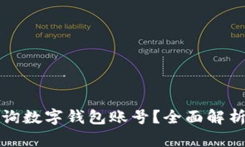 如何查询数字钱包账号？全面解析与技巧