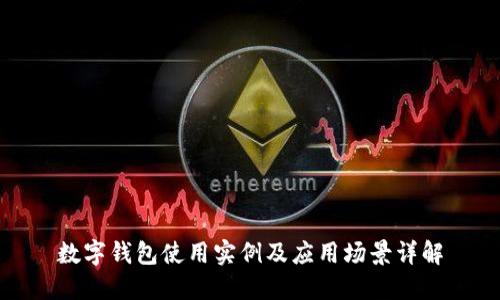 数字钱包使用实例及应用场景详解