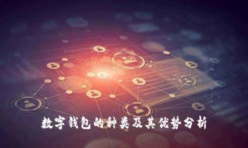 数字钱包的种类及其优势分析