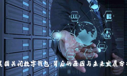 美团关闭数字钱包：背后的原因与未来发展分析