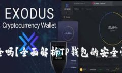 TP钱包币安全吗？全面解析TP钱包的安全性与使用