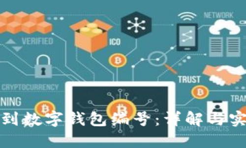 如何找到数字钱包编号：详解与实用技巧