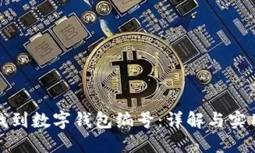 如何找到数字钱包编号：详解与实用技巧
