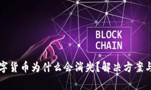 TP钱包中的数字货币为什么会消失？解决方案与常见问题解析