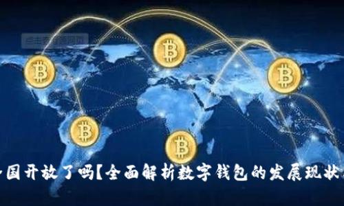 数字钱包全国开放了吗？全面解析数字钱包的发展现状与未来趋势