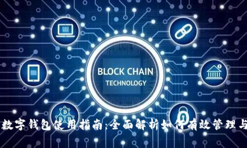 新津数字钱包使用指南：全面解析如何有效管理与消费