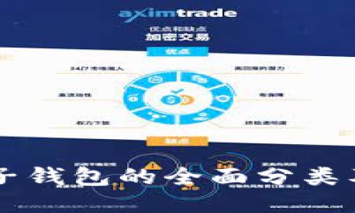 区块链电子钱包的全面分类及使用指南