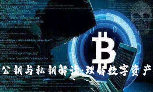数字钱包的公钥与私钥解读：理解数字资产安全的关键