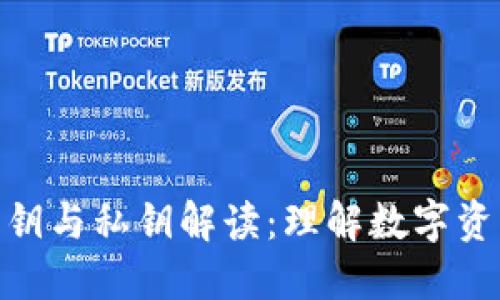 数字钱包的公钥与私钥解读：理解数字资产安全的关键