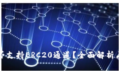 TP钱包是否支持ERC20通道？全面解析与使用指南