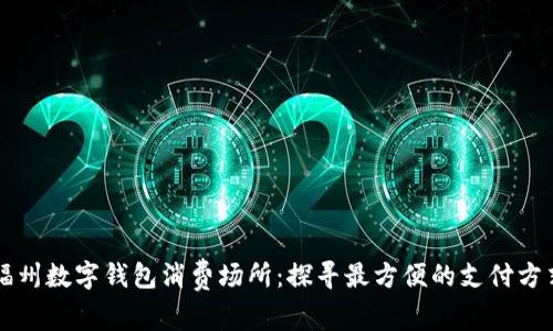 福州数字钱包消费场所：探寻最方便的支付方式