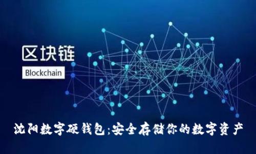 沈阳数字硬钱包：安全存储你的数字资产
