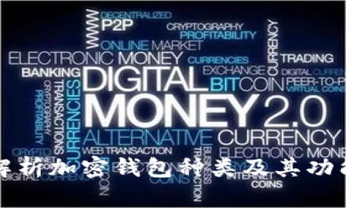 全面解析加密钱包种类及其功能特点