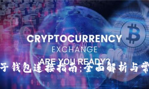加密货币电子钱包连接指南：全面解析与常见问题解答