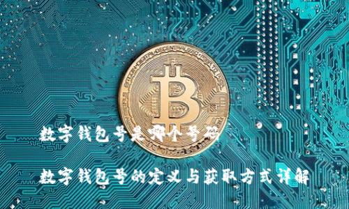 数字钱包号是哪个号码

数字钱包号的定义与获取方式详解
