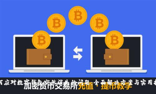 如何应对数字钱包突然消失的问题：全面解决方案与实用技巧