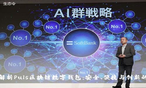 全面解析Puls区块链数字钱包：安全、便捷与创新的结合