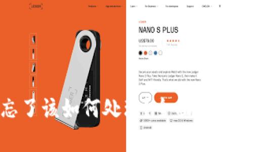 TP钱包密码忘了该如何处理？全面指南帮你找回密码