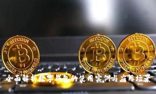 全面解析数字钱包的使用实例与应用场景
