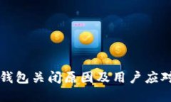 中行数字钱包关闭原因及用户应对措施详解