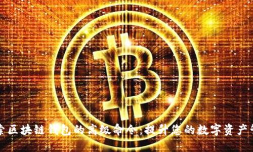 深入探索区块链钱包的高级命令：提升您的数字资产管理技能