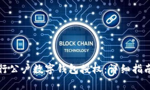 如何成功申请建行公户数字钱包授权：详细指南与常见问题解答