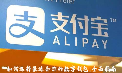 
如何选择最适合你的数字钱包：全面指南