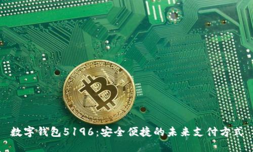 数字钱包5196：安全便捷的未来支付方式