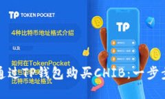 如何通过TP钱包购买CHIB：一步步详解