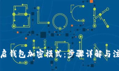 如何开启钱包加密模式：步骤详解与注意事项