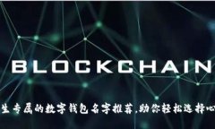 可爱女生专属的数字钱包名字推荐，助你轻松选