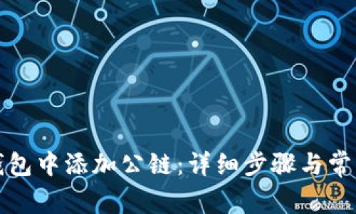 如何在TP钱包中添加公链：详细步骤与常见问题解答