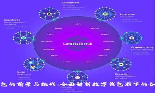 数字钱包的前景与挑战：全面解析数字钱包旗下的各类产品